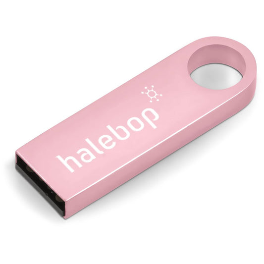 Vega Flash Drive - 16GB - Pink